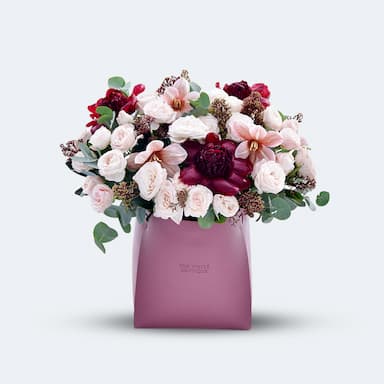 Get Well Soon Story Image